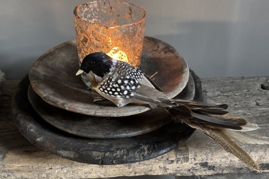 Set van 3 Kunst vogels Bird Paradise Nr 2